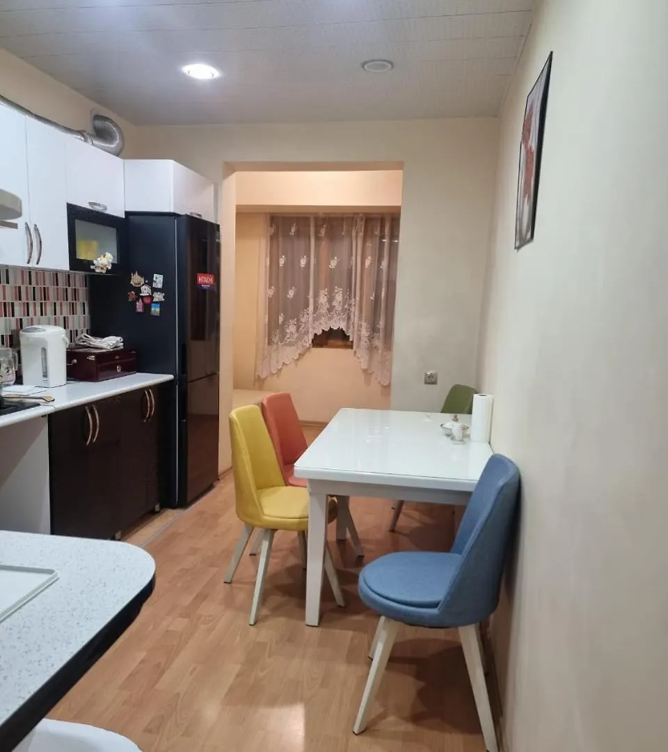 Metro Station Nariman Narimanov Apartment Baku